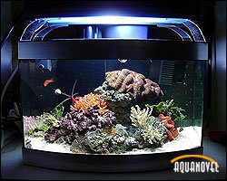 Acuario Nano-Reef